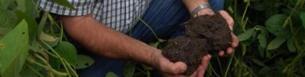 Farmer holding handful of soil