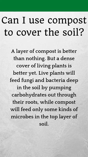 Don't use compost to cover the soil