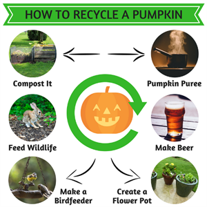 How to Recycle a Pumpkin_500x500
