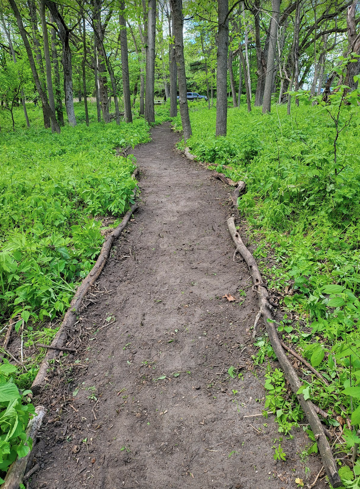 Trail on Minnesota Valley Chapter property – credit Nicolette Johnson
