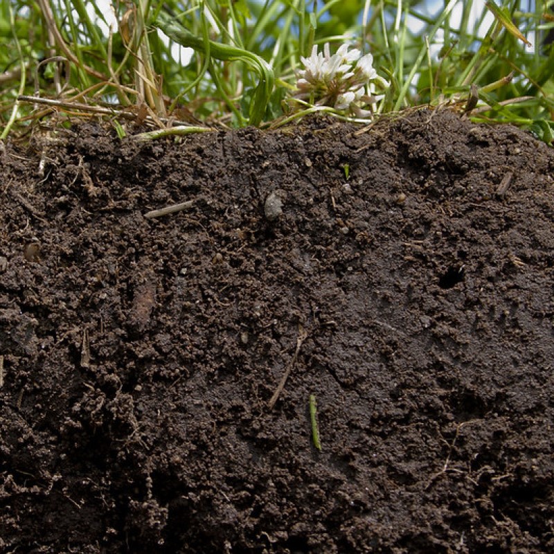 Healthy soil - credit USDA