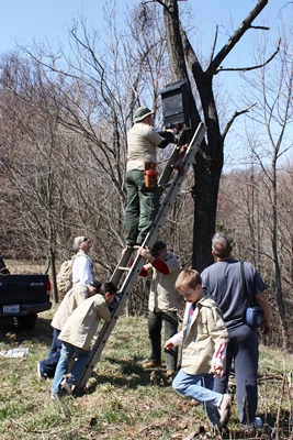 Arlington Fairfax Chapter_Boy Scouts Bat Project