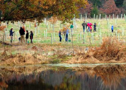 Bethesda-Chevy Chase Chapter Planting Trees