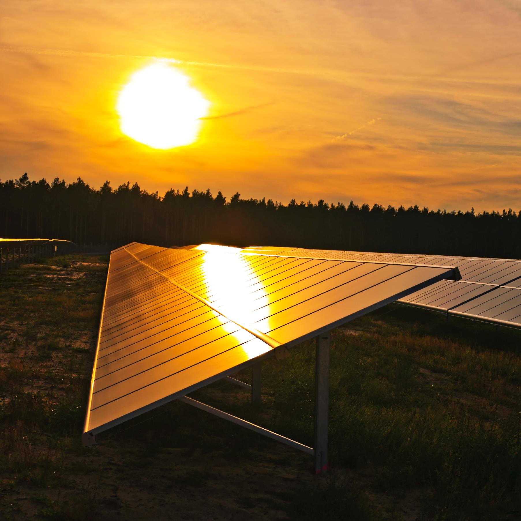 Solar panels at sunset