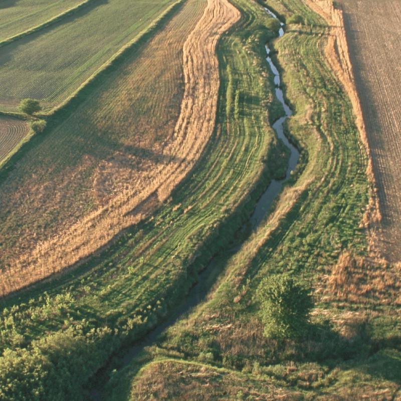 Buffer strip - Lynn Betts, NRCS