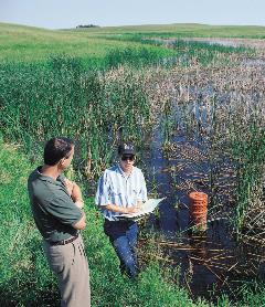 Restored Wetland in Iowa (Lynn Betts, NRCS)
