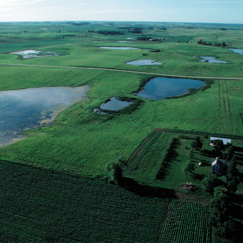 CRP-Restored Wetland_credit Lynn Betts-NRCS