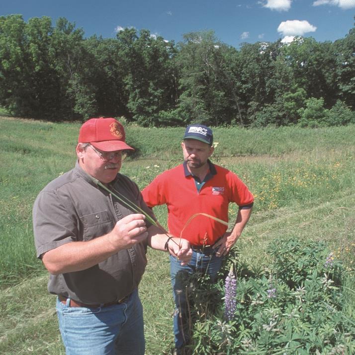 CRP in Wisconsin - credit Bob Nichols, NRCS