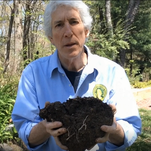 Soil health demonstration