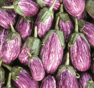 Eggplant Listada_Seed Savers Exchange