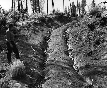 Erosion 1957_Umpqua National Forest OR_USFS-cropped