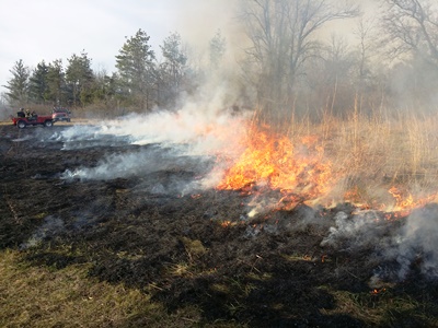 Native Prairie on Fire