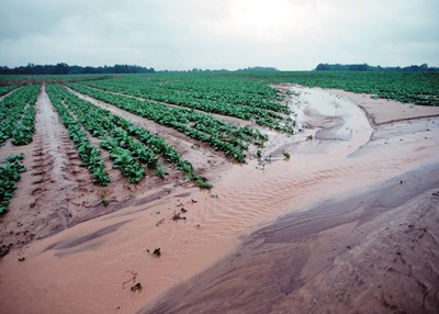 Sediment_Tim McCabe USDA-NRCS