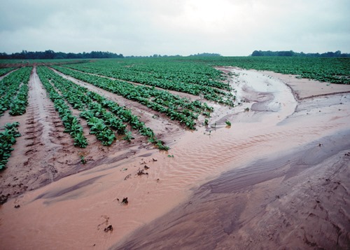 Sediment_Tim McCabe USDA-NRCS