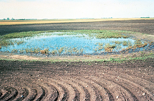 Wetland drainage on an agriculture field. Credit: USFWS.
