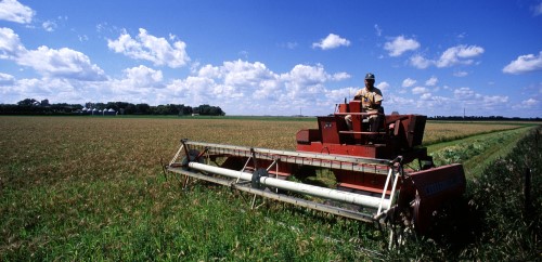 Wheat farm in Minnesota. Photo credit: USDA.