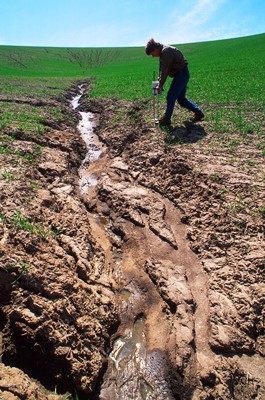 Wheat Field Erosion in WA_photo credit Jack Dykinga