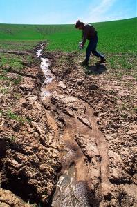Wheat field erosion - credit Jack Dykinga