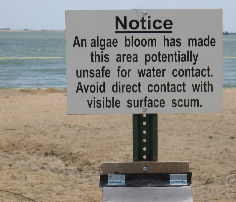 Algae Bloom Warding Sign_credit USGS