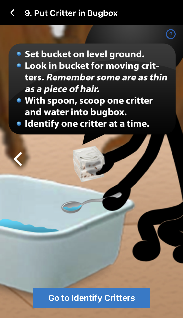Creek Critters: Step-by-step instructions