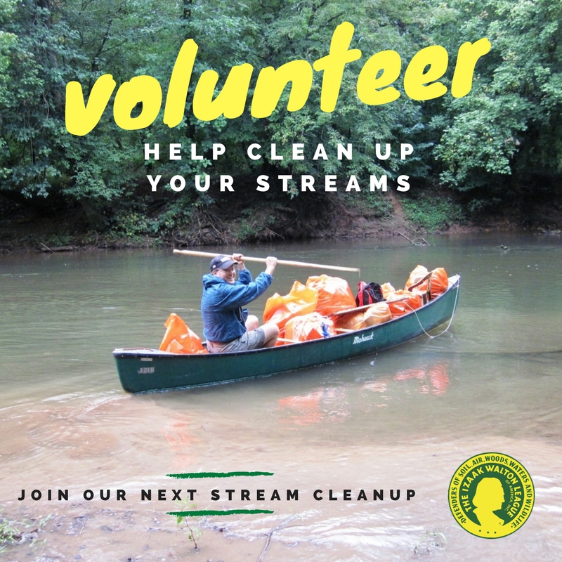 Stream Cleanup: Volunteer
