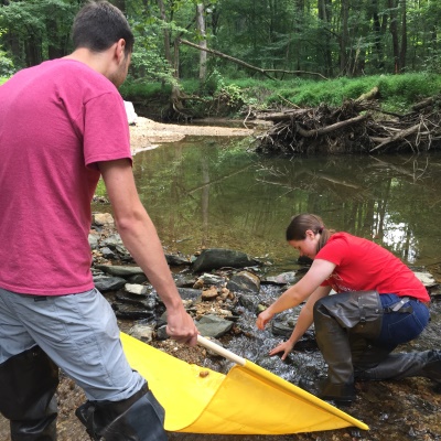 Heather and Scott stream monitoring 2017