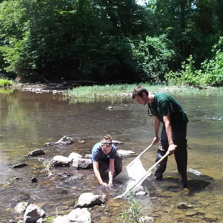 stream monitoring