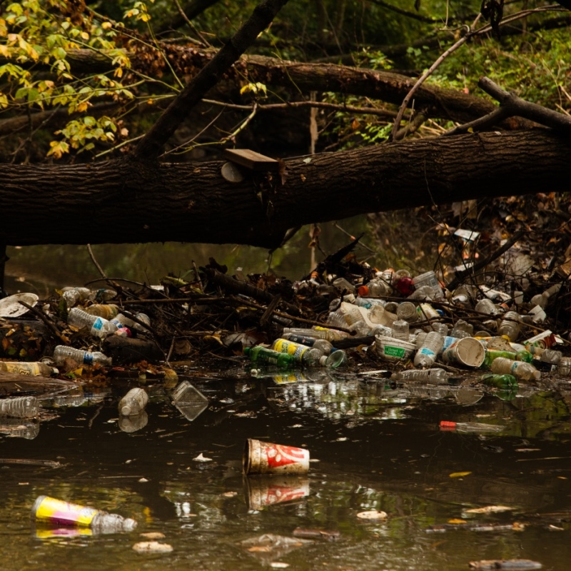 Anacostia River pollution_credit Chesapeake Bay Prog