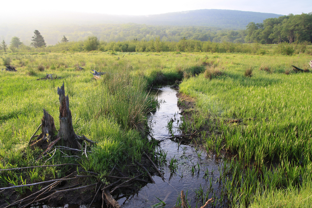 Clean Water_credit Ken Sturm USFWS