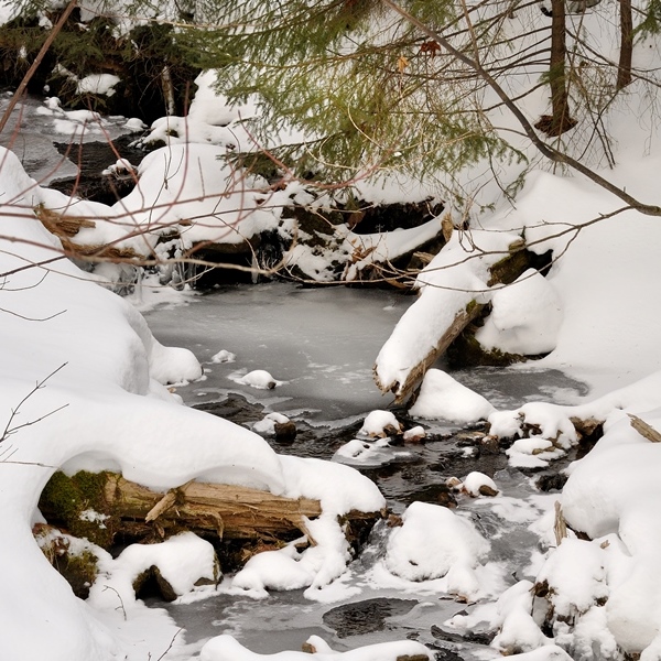 frozen stream in VT_credit Dave Smith sq