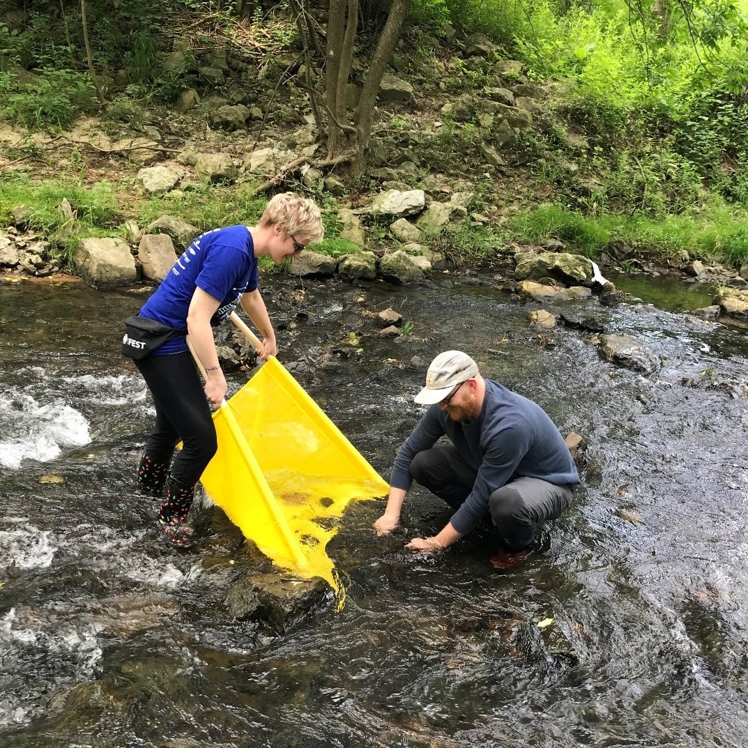 Macroinvertebrate monitoring