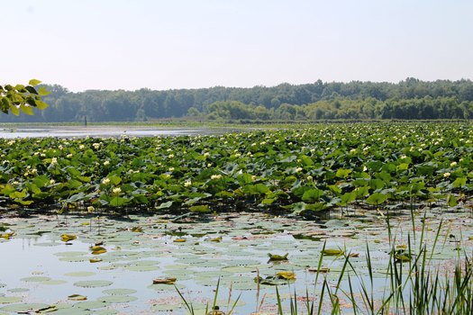 LaSalle Oxbow_credit Jim Sweeney