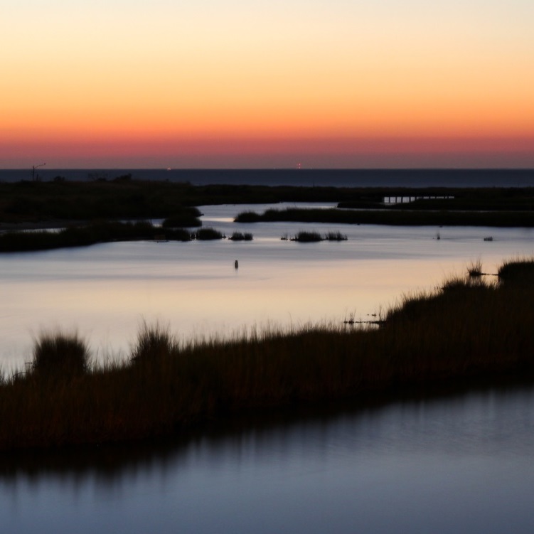 marsh Tangier Island_credit Chesapeake Bay Progrogram