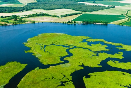 Nanticoke River Wetlands_credit Ches Bay Prog