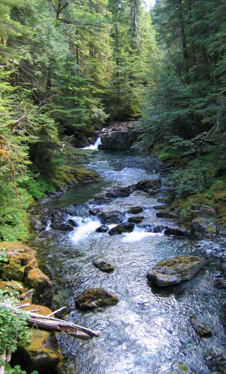 Opal Creek (credit: USFWS)