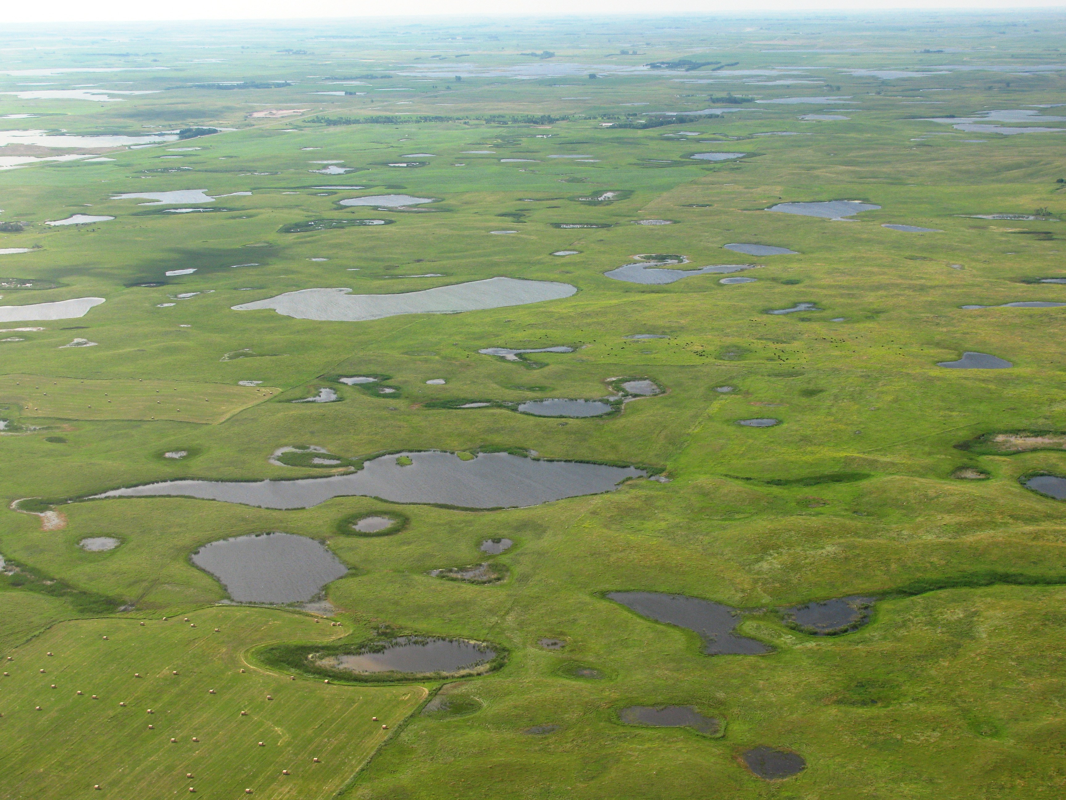 Prairie Potholes_credit USFWS