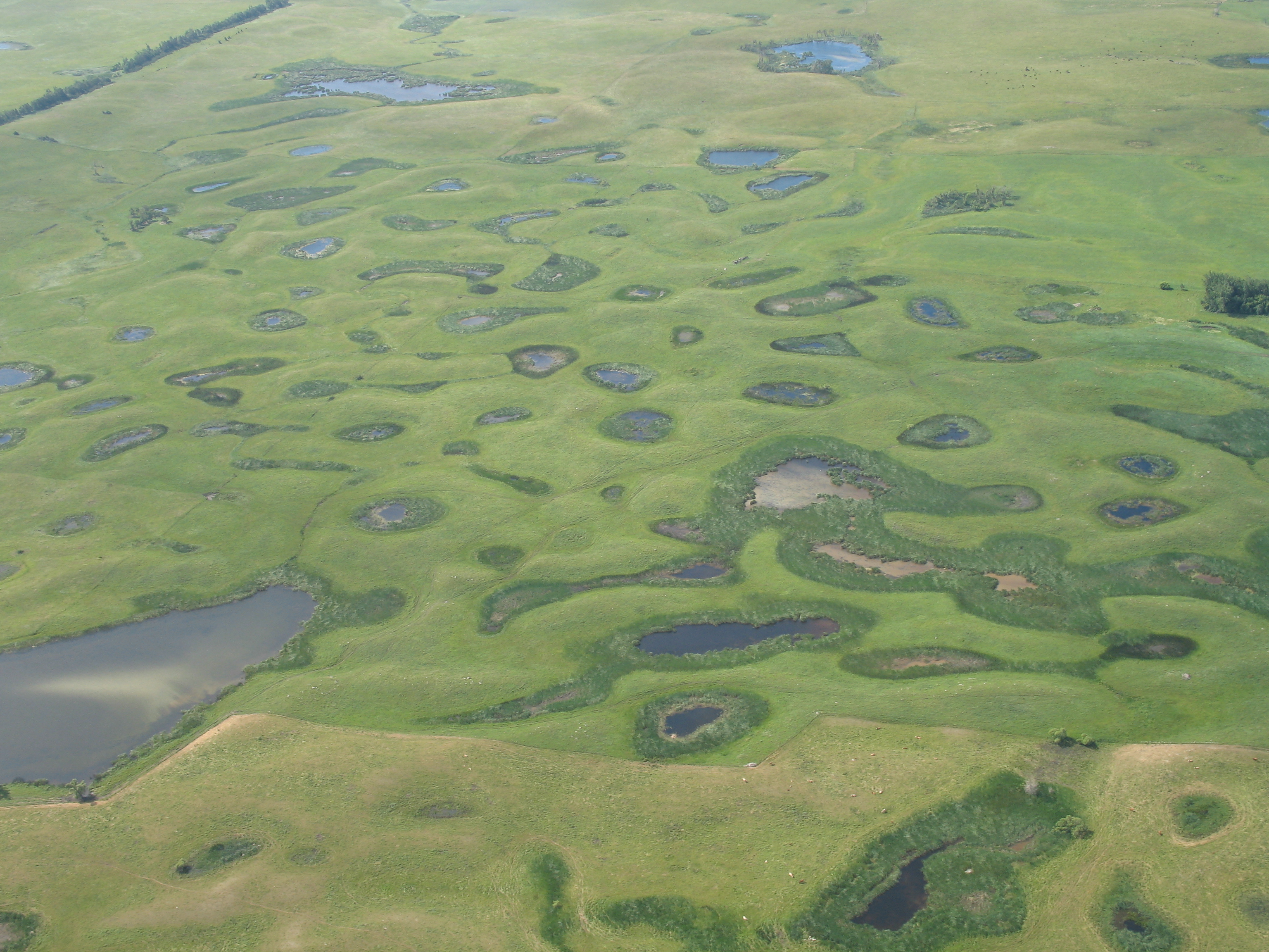 Prairie Potholes_credit USFWS