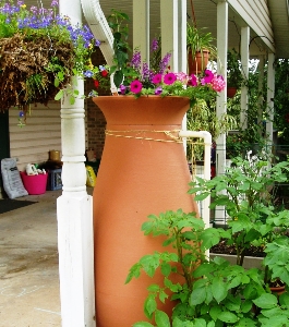 Rain Barrel