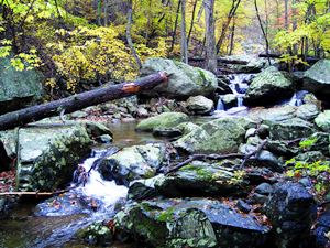 Shenandoah National Park Virgina_NPS