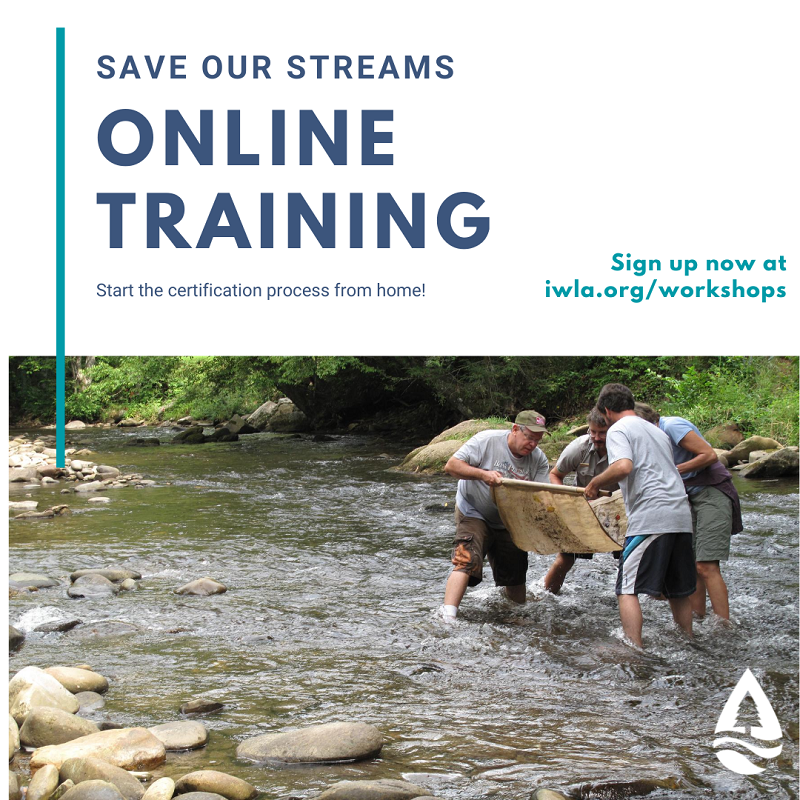 Save Our Streams online training