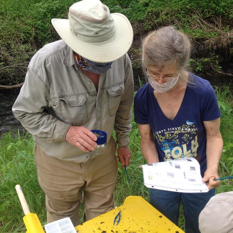 Volunteer water guardians