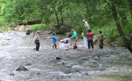 Stream Monitoring