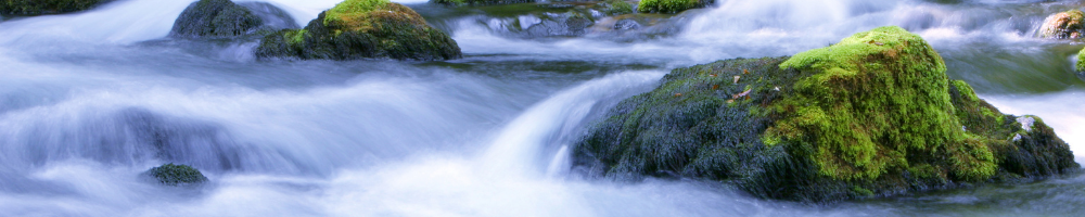 Action and Advocacy to Protect Water Quality: What You Can Do