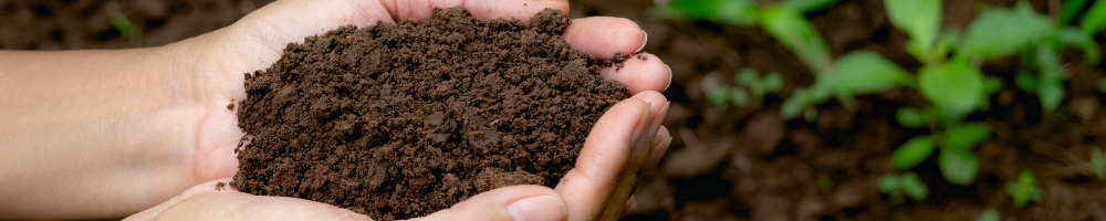 Healthy Soil, Healthy Water