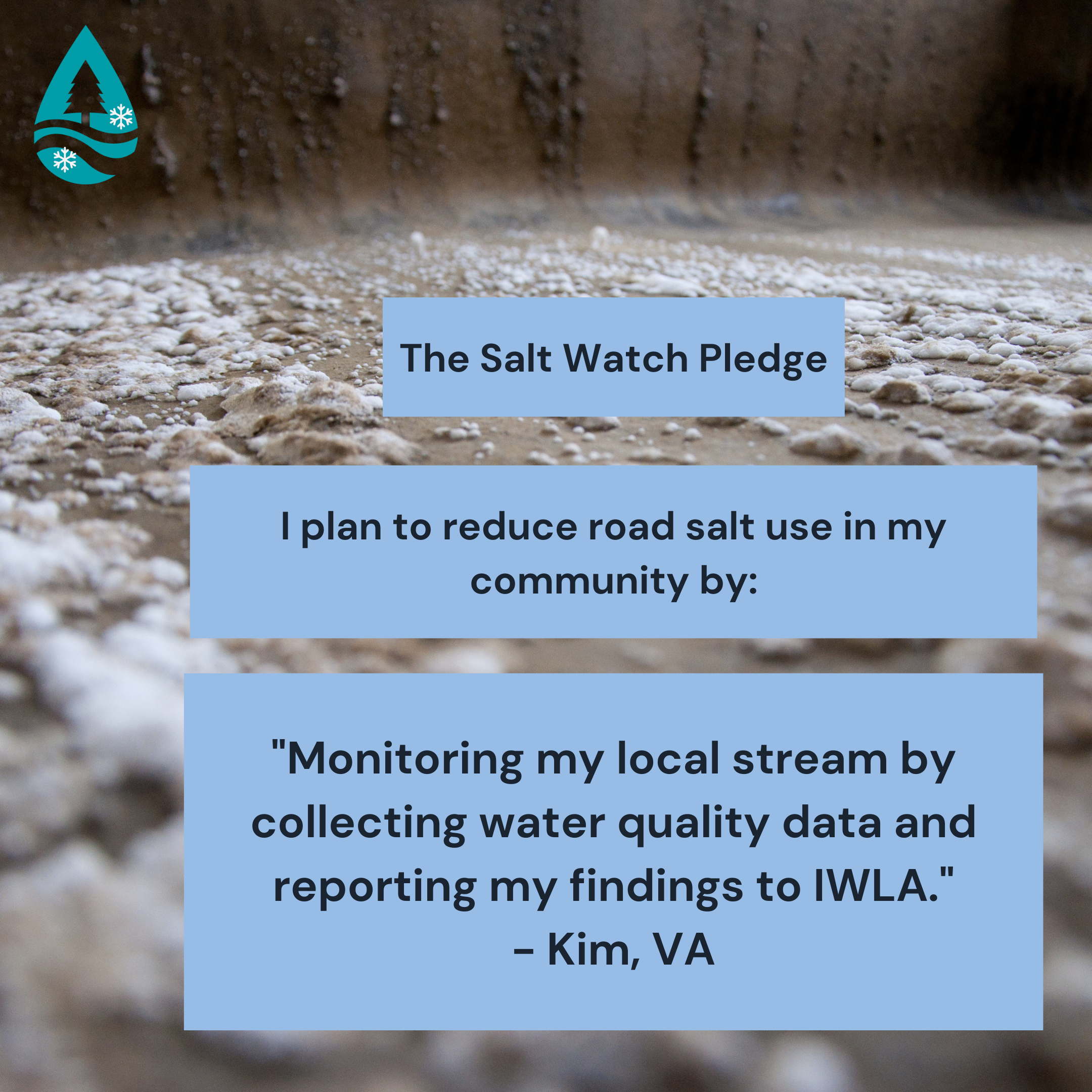 Salt Watch pledge - Kim