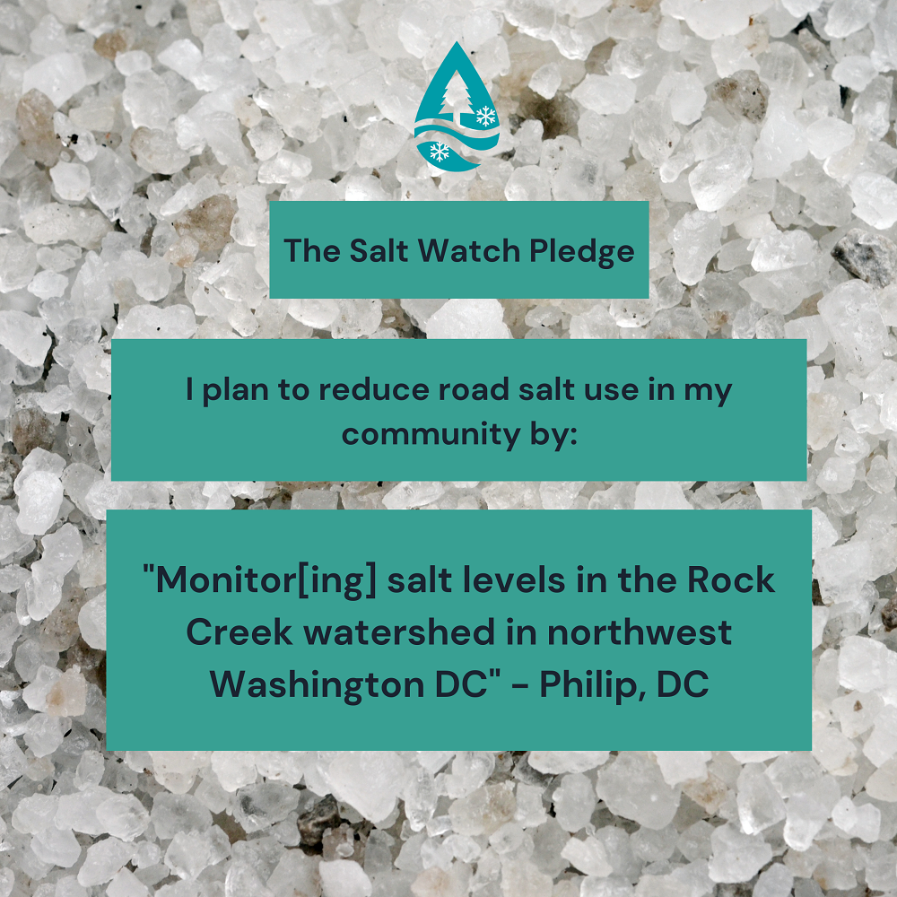 Salt Watch pledge - Philip