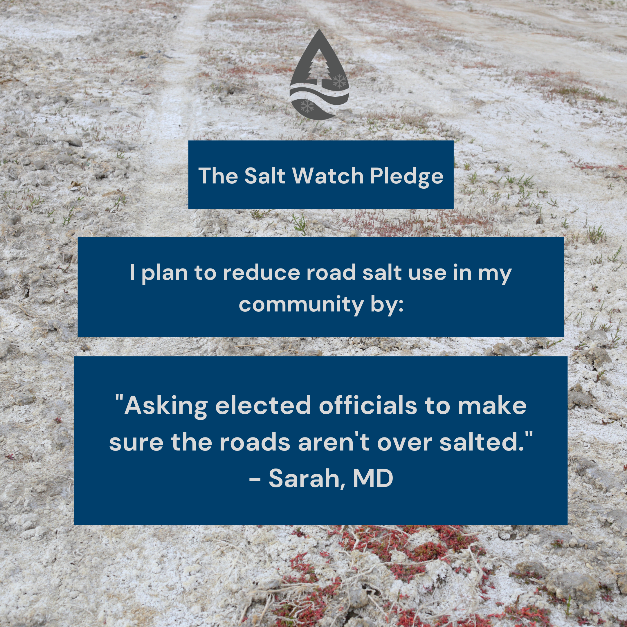 Salt Watch pledge - Sarah