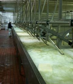 Wisconsin cheese factory. Credit Jon Zacherle.
