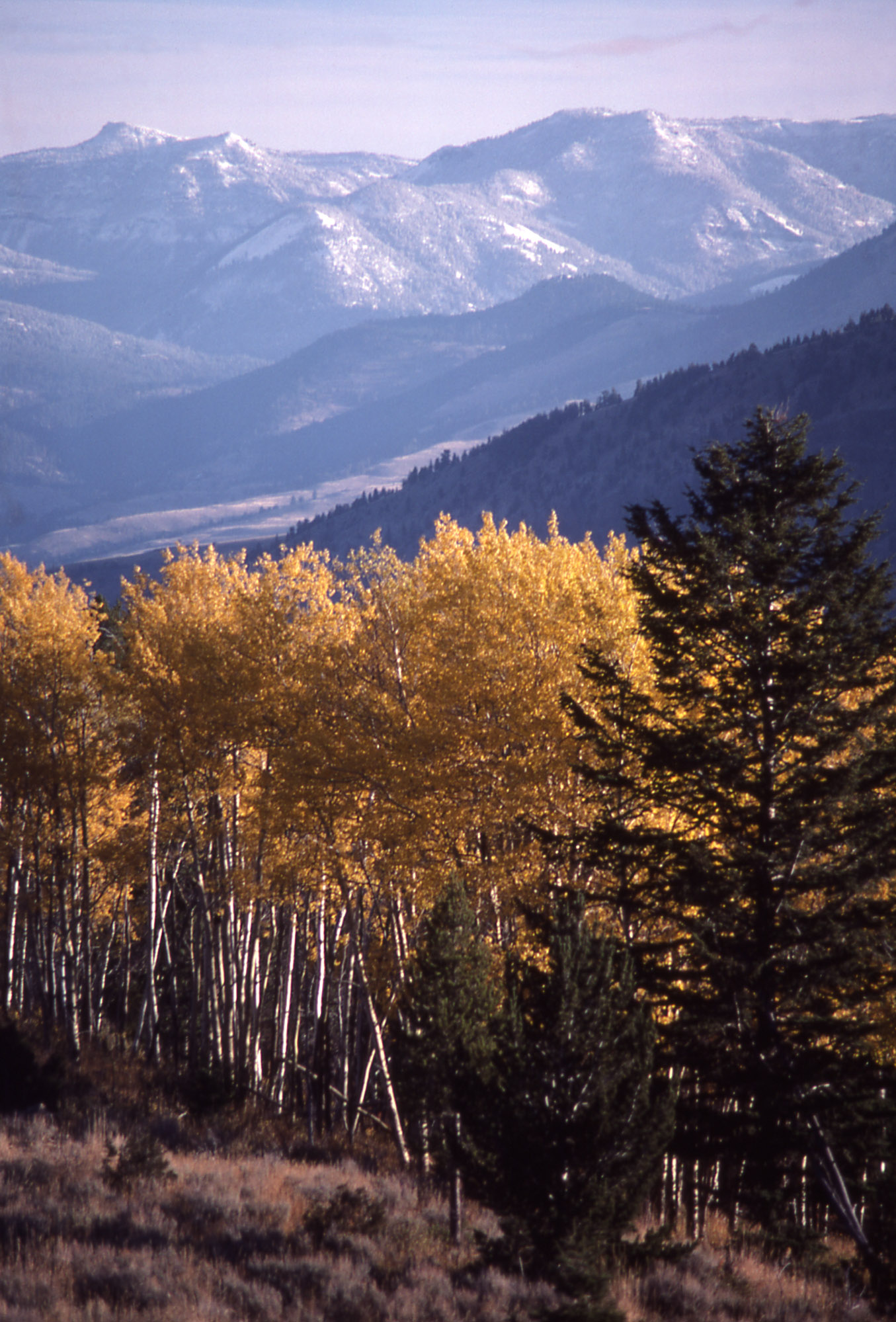 Yellowstone_credit NPS