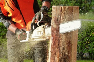 chainsaw_credit pexels
